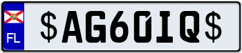Florida Euro Style License Plate Carbon Fiber 000000